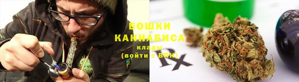 PSILOCYBIN Аркадак