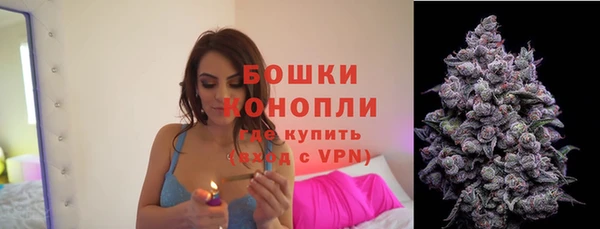 PSILOCYBIN Аркадак