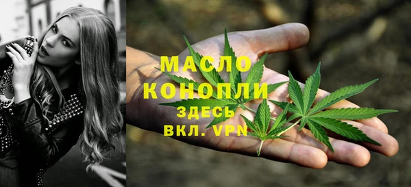 PSILOCYBIN Аркадак
